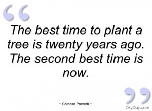 the best time to plant a tree is twenty chinese proverb