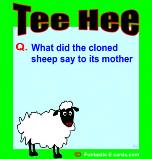 family comical ecard with stupid cartoon style joke about cloned sheep ...