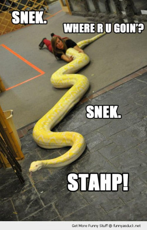 Anaconda Funny Quotes. QuotesGram
