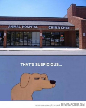 Dog Says: Animal Hospital Next To China Chef? That Is Suspicious ...