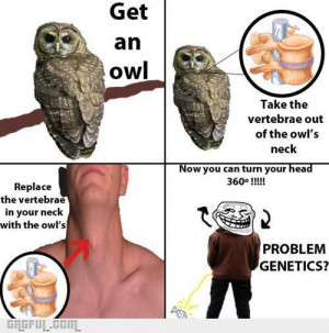 Owl Quotes Funny Banners Pic