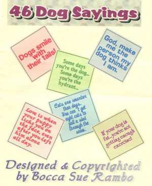 Funny Pictures Gallery