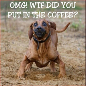 Omg wtf did you put in the coffee