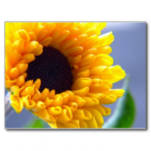 Sunflower Seasonal Inspirationals Postcards