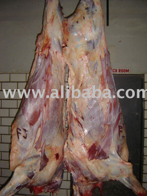 Beef Carcass