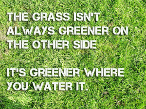 Grass-is-Greener.png