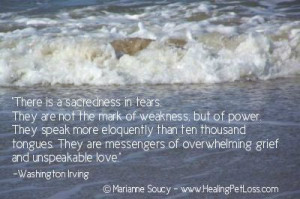 Inspiration life love pet heaven earth grief love tears healing