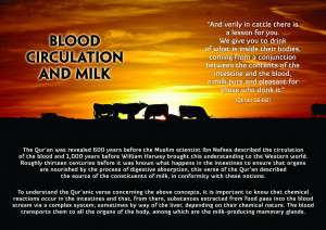Picture Perfect : Quran & Modern Science – Blood Circulation & Milk