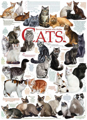 Cat Quotes Cats Jigsaw Puzzle