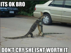 Its ok bro don’t cry