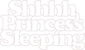 Shhhh Princess Sleeping