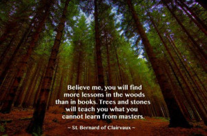 Bomen en stenen zullen je leren wat je niet kan leren van de Meesters.
