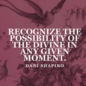 ... the possibility of the divine in any given moment. — Dani Shapiro