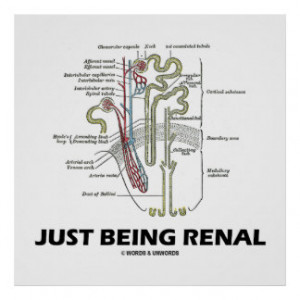 just_being_renal_kidney_nephron_renal_humor_poster ...