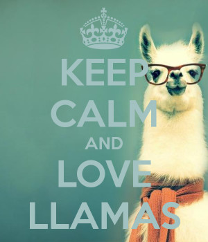 KEEP CALM AND LOVE LLAMAS