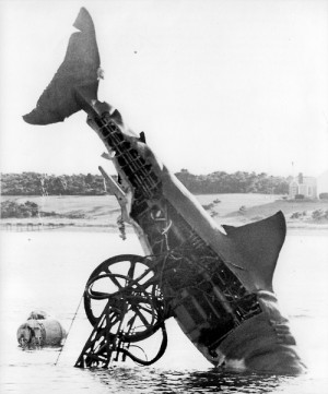 The “right to left” shark from Jaws. A number of mechanical sharks ...