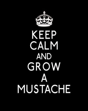 mustache sayings funny | mustache #keep calm #poster #keep calm and ...