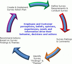 employee survey process enables continuous improvement, enhanced ...
