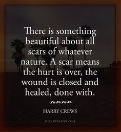 There is something beautiful about all scars of whatever nature. A ...