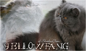 44 gmt 5 all information received from warriorswish net b