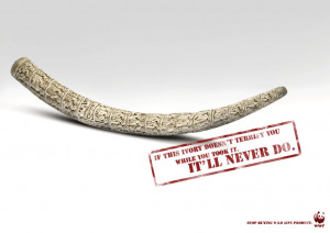 WWF(世界自然基金会)公益广告