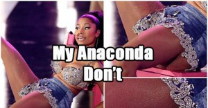 My Anaconda DON’T!