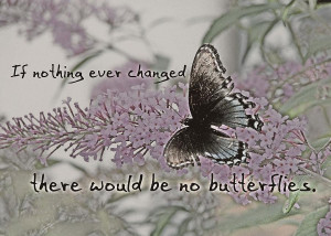 Butterfly Kisses Quote Photograph