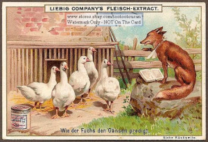 ... German chromolithograph trade card of a fox preaching to geese c.1895