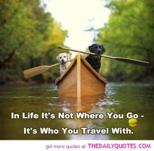 ... , Pet, So True, Travel Quotes, Inspiration Quotes, Black Labs, Animal
