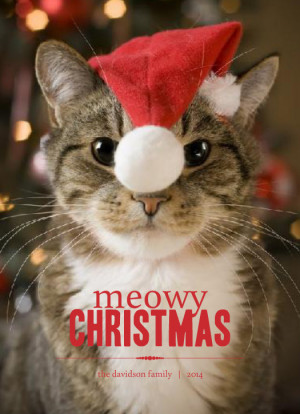 Holiday Card Sayings & Wording: Cat, Dog, Funny, Family, Religious ...