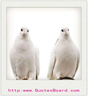 Man Travels The World Over In Search Of What He Needs And Returns ...