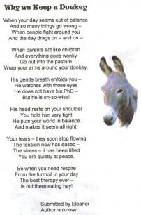 Why Keep A Donkey