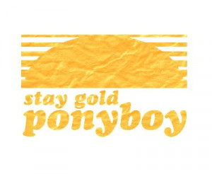 stay gold ponyboy Image