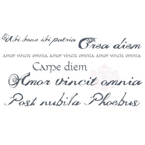 Wall Deco Latin phrases