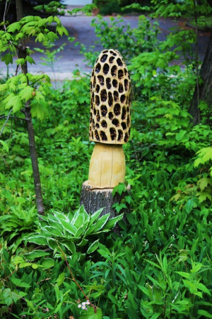 Chainsaw carving of a morel mushroom #food