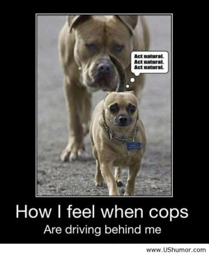 ... funny memes, funny messages, funny people, funny pics, funny quotes