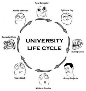 university life cycle university life cycle