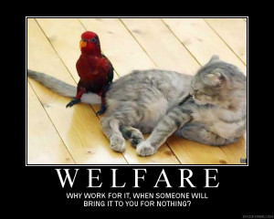 ... about a fat dumbass cat, a crazy old lady, and Section 8 at the beach