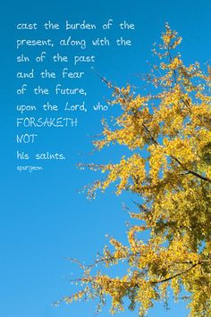 ... Nancy Leigh DeMoss book The Look: Does God Really Care What I Wear