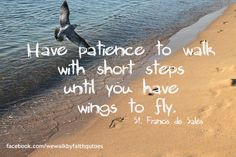 Have patience to walk with short steps until you have wings to fly ...