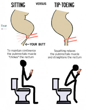 LPT: Go to the toilet like nature intended. From a normal sitting ...