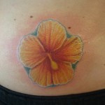 Related Gallery of The Orange Hibiscus Flower Meaning