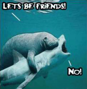 Funny Animals best friends Fashion cool pic gallery news