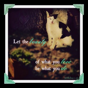 Sunday Kitty Wisdom - Cat Wisdom 101