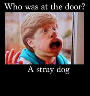 Adventures in Babysitting