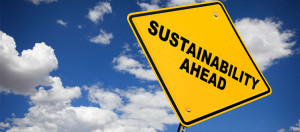 Getting to Sustainability