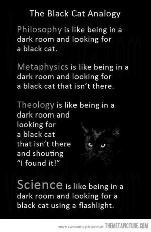 black cat analogy