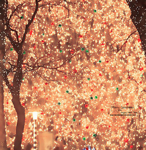 Bright Christmas Light Decorations Pictures Photos And Images For