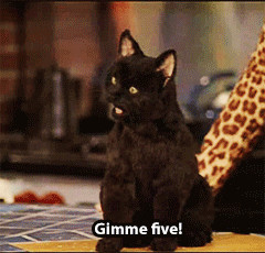 quote Sabrina the teenage witch Salem Saberhagen salem sabrina