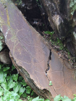 THE CONSPIRACY TO FLOOD THE SEVENTH WONDER OF PREHISTORY